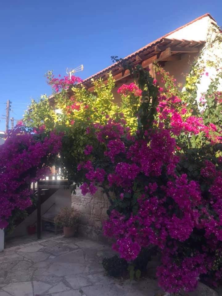 Avalon Village Houses Limassol Zewnętrze zdjęcie